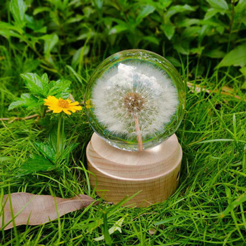 永生花植物標本樹脂膠水